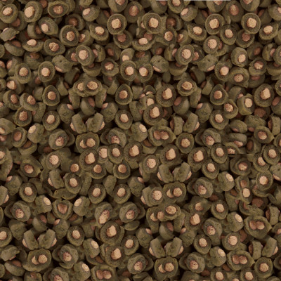 krmivo pro ryby Spirulina 500g