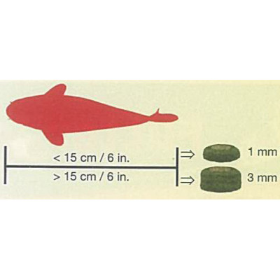 krmení pro ryby v jezírku