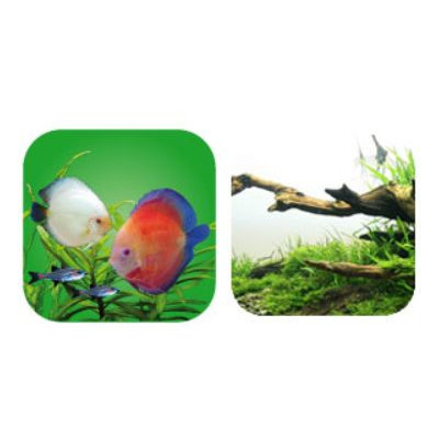 akvarijní hnojivo NutronFlora 250ml