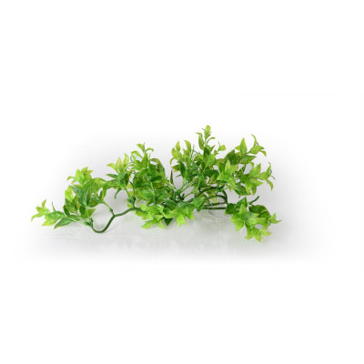 terarrijní rostlina 30cm