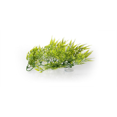 rostlina do terária 30cm