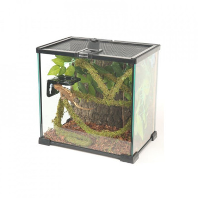 ReptiZoo liána s mechem