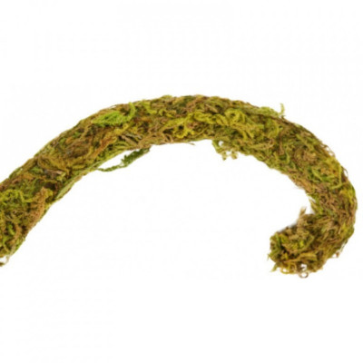 liána s mechem ReptiZoo Jungle Vines