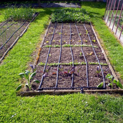 Sada kapkové závlahy Bradas 50 m