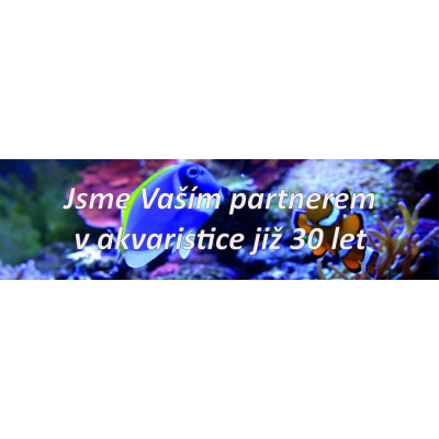 Přísavka pro akvarijní molitanové filtry