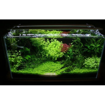 Sinkor LED II 30 cm bílá