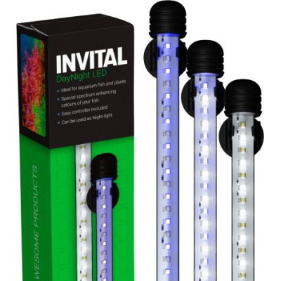 Invital DayNight LED 115cm