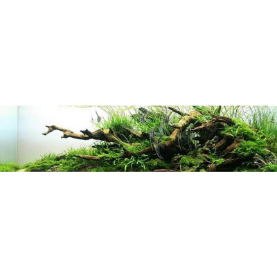 SUNSUN JVP-110 čerpadlo 2000 l/h