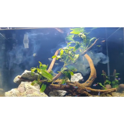 Seachem Clarity 100ml