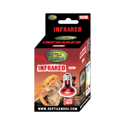 Repti Nova Infračervená žárovka 100W