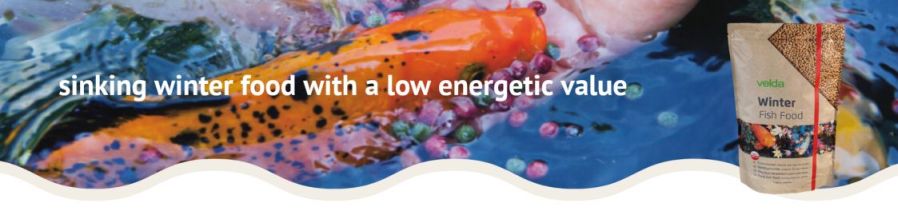 krmivo pro ryby v zimě