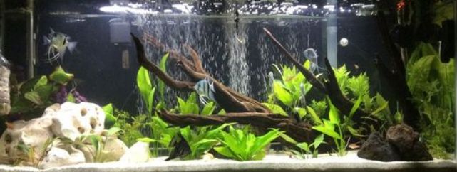 bateriové vzduchování do akvária