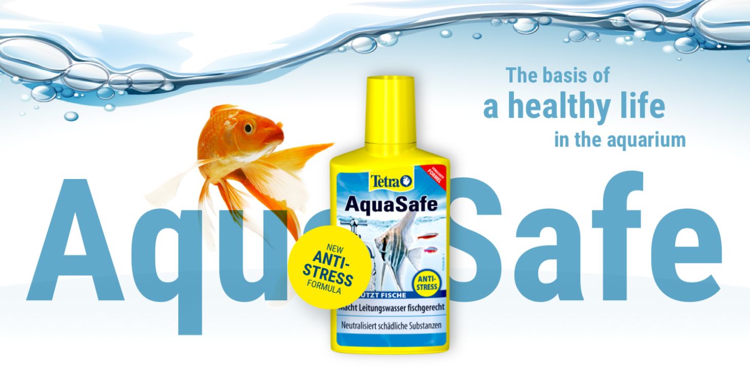 akvarijní úprava čerstvé vody