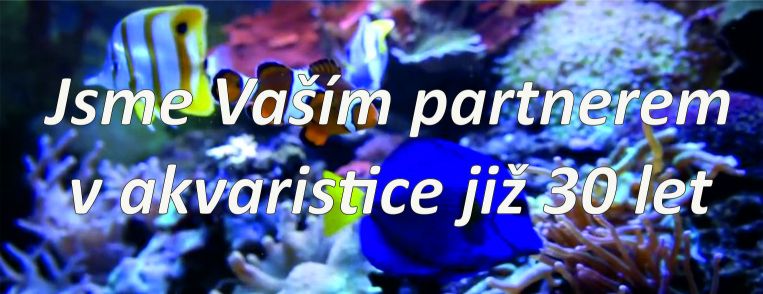 akvaristika-30-2.jpg