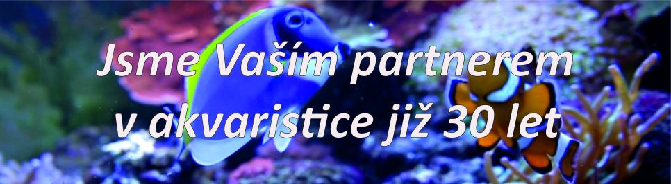 akvaristika-30.jpg