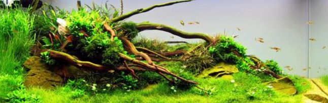 JVP-110 čerpadlo pro rostlinná akvária