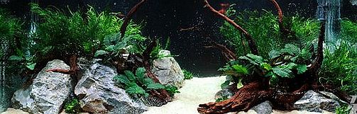 Odkalovač Profivac na čištění dna