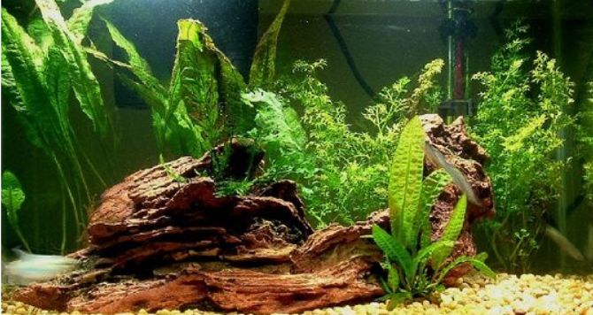 čerpací hlavy UnionStar do akvária