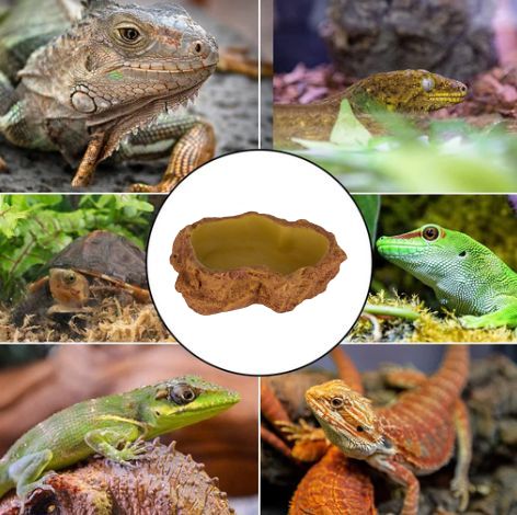 Reptile Nova misky do terária