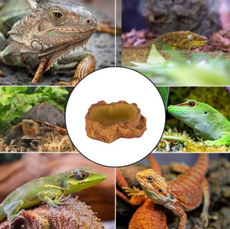 misky do terária Reprile Nova vyrobené z pryskyřice