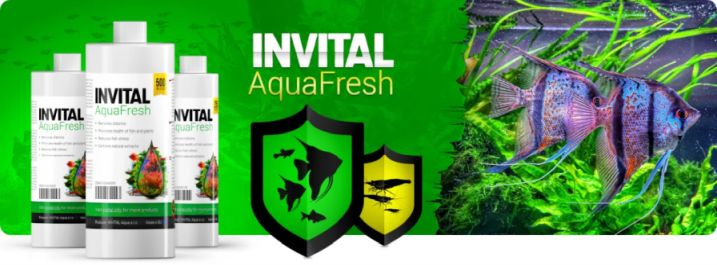 Revoluční přípravek pro úpravu akvarijní vody + čistič skel