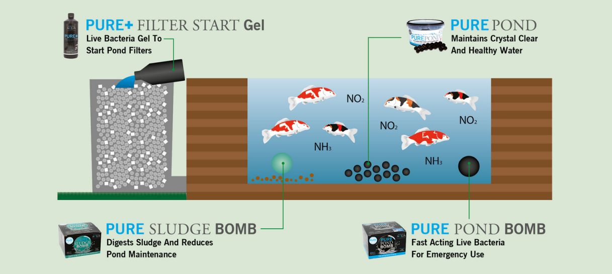 bakterie pro jezírka s rybami