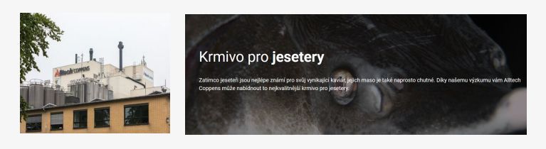 krmiva pro ryby v jezírku