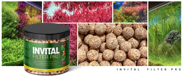 Filter Pro 1000 ml nejlepší poměr cena/výkon