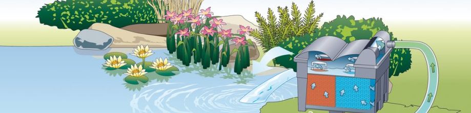 filtr NUB-6000 postavený na břehu jezírka