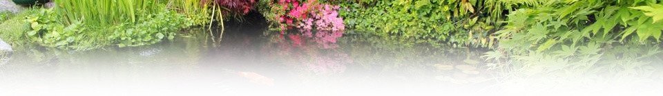 Naše Jezírka - specializovaný eshop