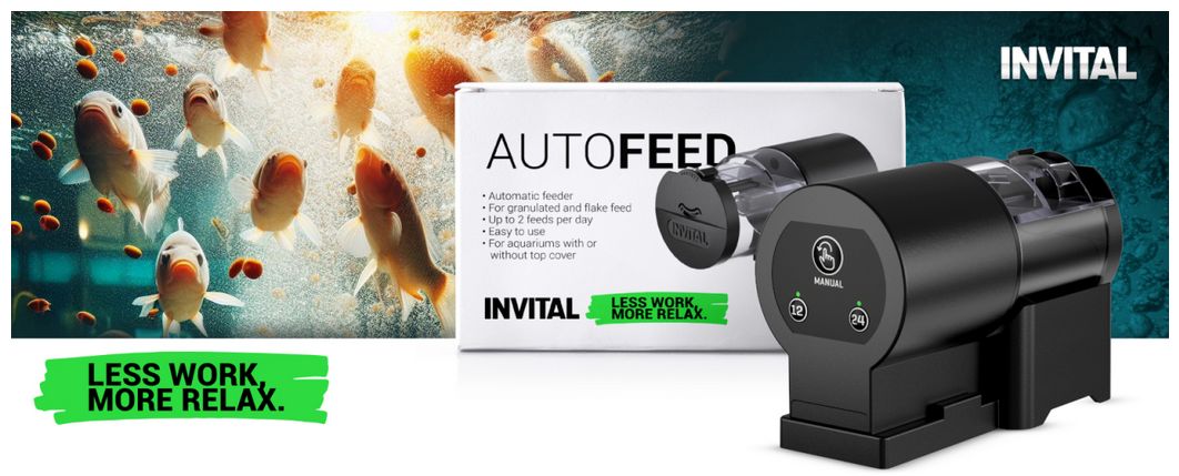 Automatic Feeder Invital