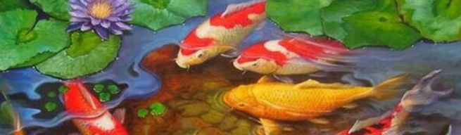 Pond Sticks krmiva pro bazénové ryby