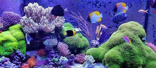 proudové čerpadlo 3000 l/h