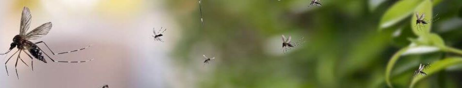 komáři se vyhlíhnou v jakékoli nádrži s vodou