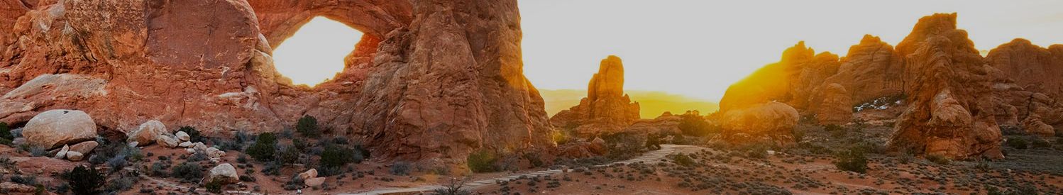 Reptile Nova umělé rostliny do terária