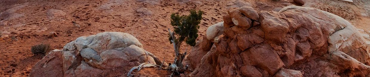 Repti Zoo potřeby pro teraristiku