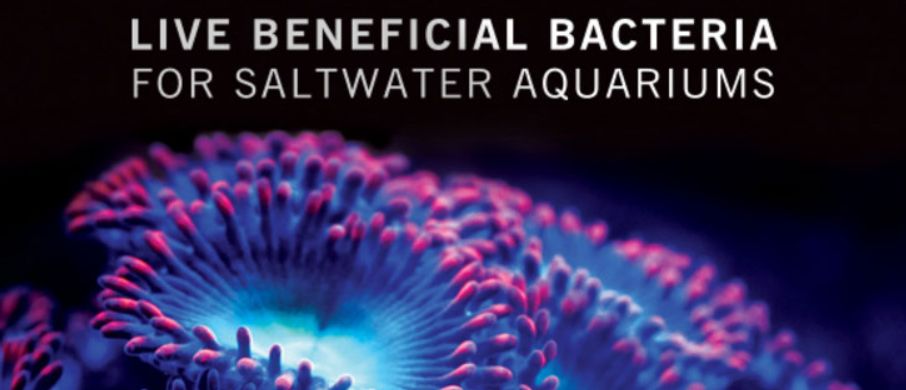 bakterie do akvária Evolution Aqua