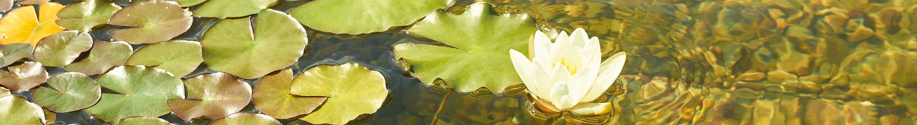 filtr do jezírka FUV-2511