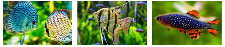 AquaHum 100ml pro akvarijní rybičky