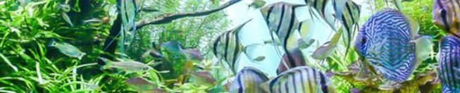 Výsledkem práce Filtosmart 100 je čistá voda