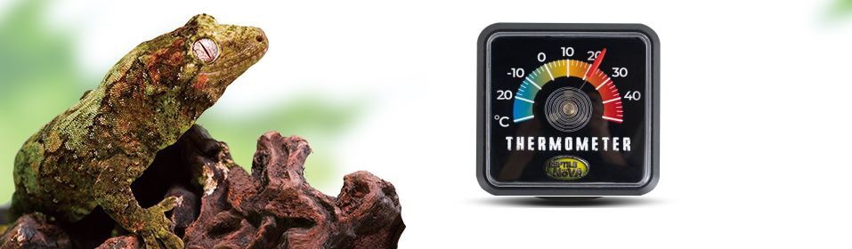 terarijní teploměr Reptile Nova čtverec