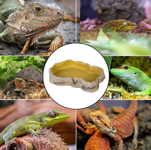 Repti Zoo terarijní miska