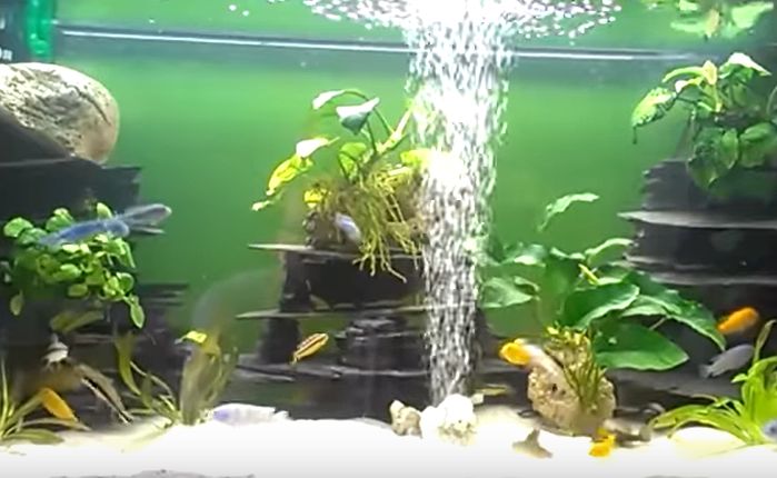 akvarijní vzduchování Kladno  AV Record