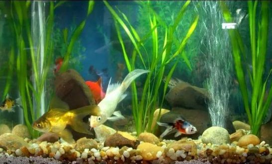 vzduchovací hadičky