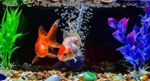 výkonné akvarijní vzduchování