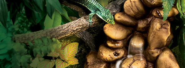 Hagen exo terra waterfall