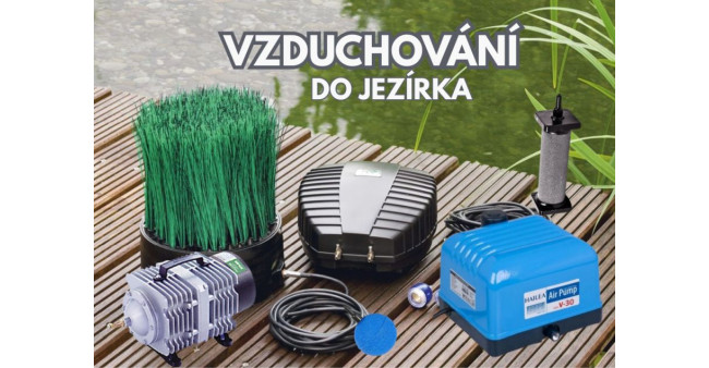 Vzduchování do jezírka: Proč je kyslík důležitější pro bakterie než pro ryby?