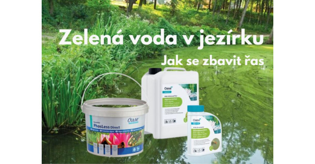 Zelená voda v jezírku